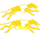  5Lwin